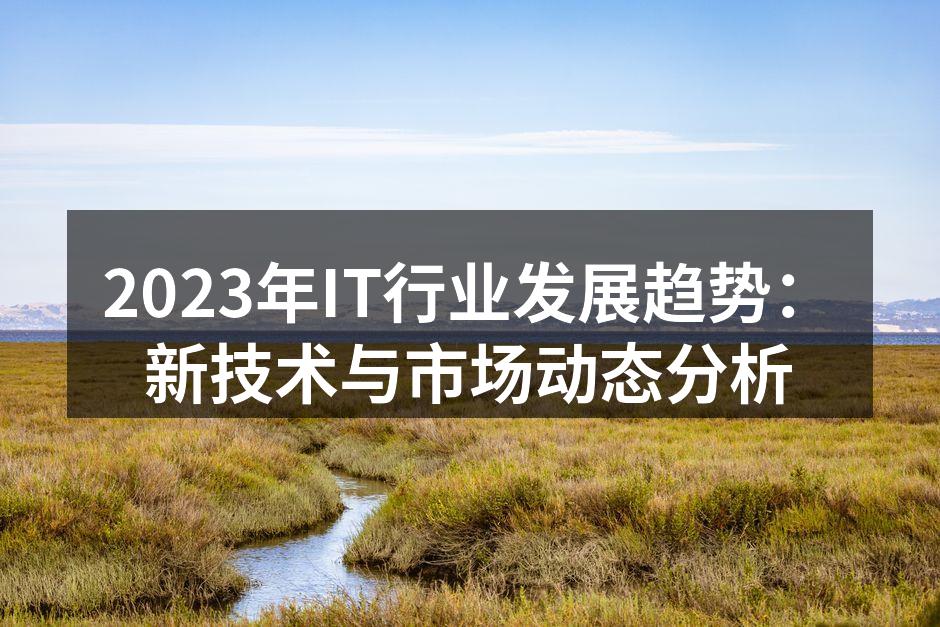 2023年IT行业发展趋势：新技术与市场