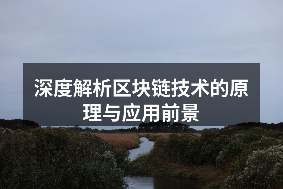 深度解析区块链技术的原理与应用前景